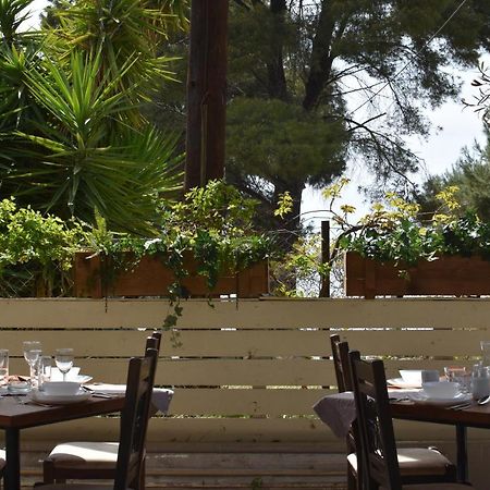 Golden Beach Hotel Metamorfosi  Dış mekan fotoğraf