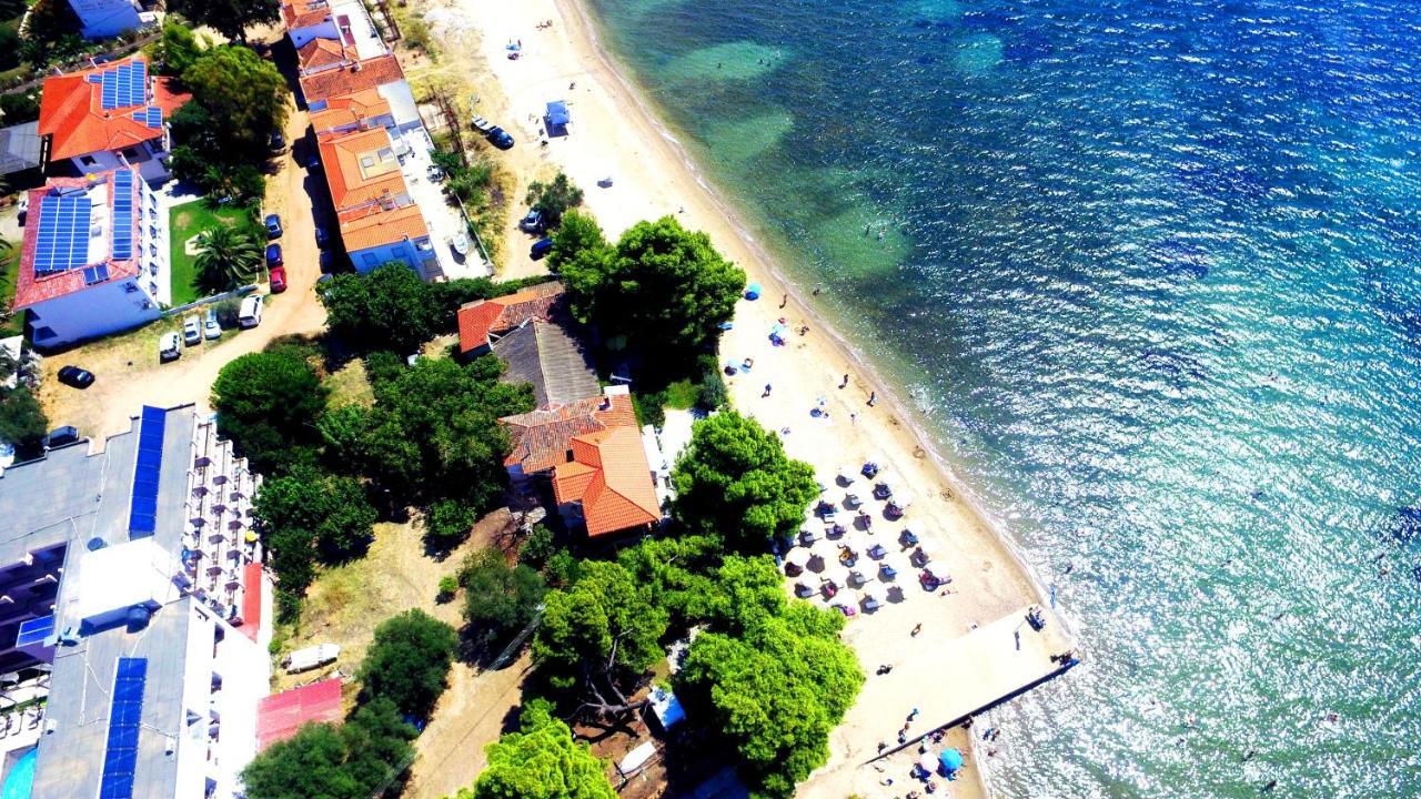 Golden Beach Hotel Metamorfosi  Dış mekan fotoğraf