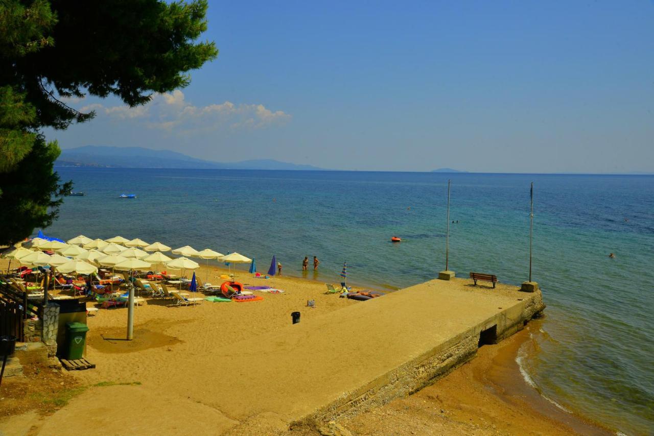 Golden Beach Hotel Metamorfosi  Dış mekan fotoğraf
