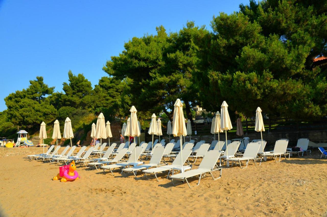 Golden Beach Hotel Metamorfosi  Dış mekan fotoğraf