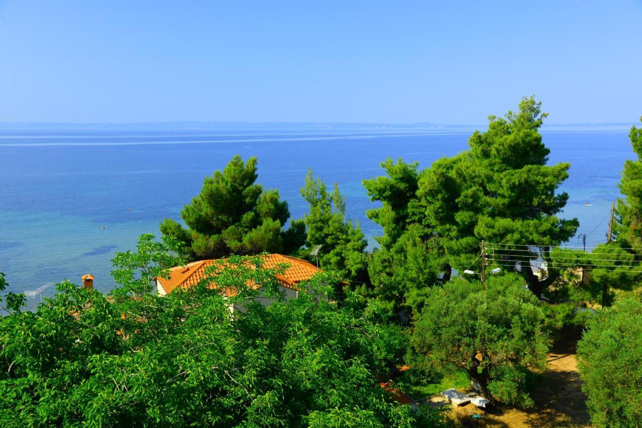 Golden Beach Hotel Metamorfosi  Dış mekan fotoğraf